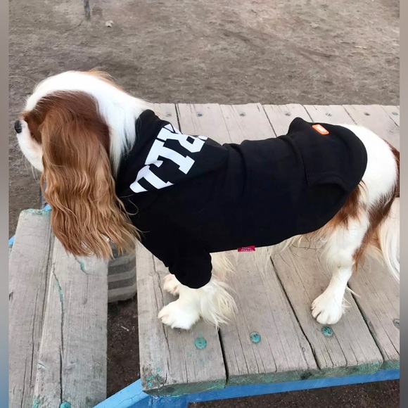 Pet Hoodies Brand new  The cutest most comfortable hoodies for your pet - Picture 5 of 13
